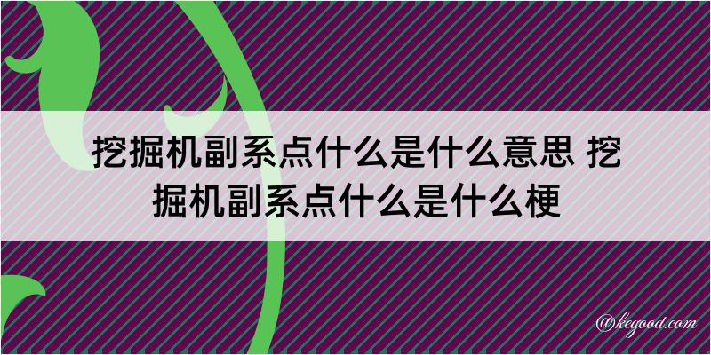 挖掘机副系点什么是什么意思 挖掘机副系点什么是什么梗