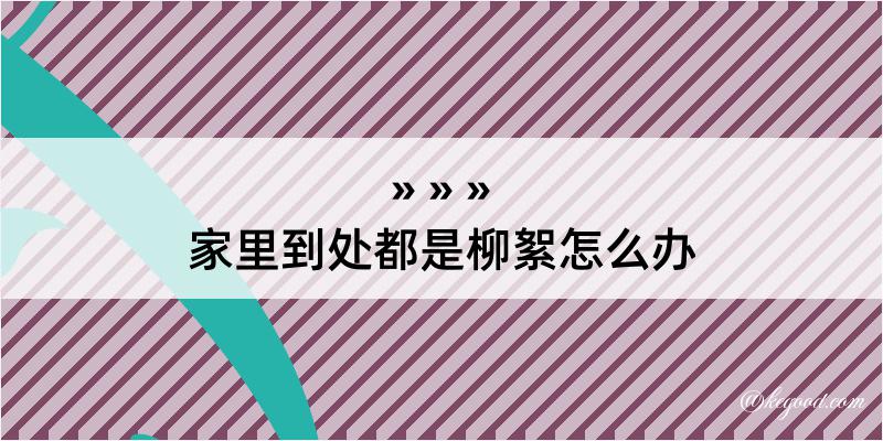 家里到处都是柳絮怎么办