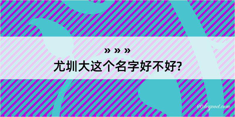 尤圳大这个名字好不好?